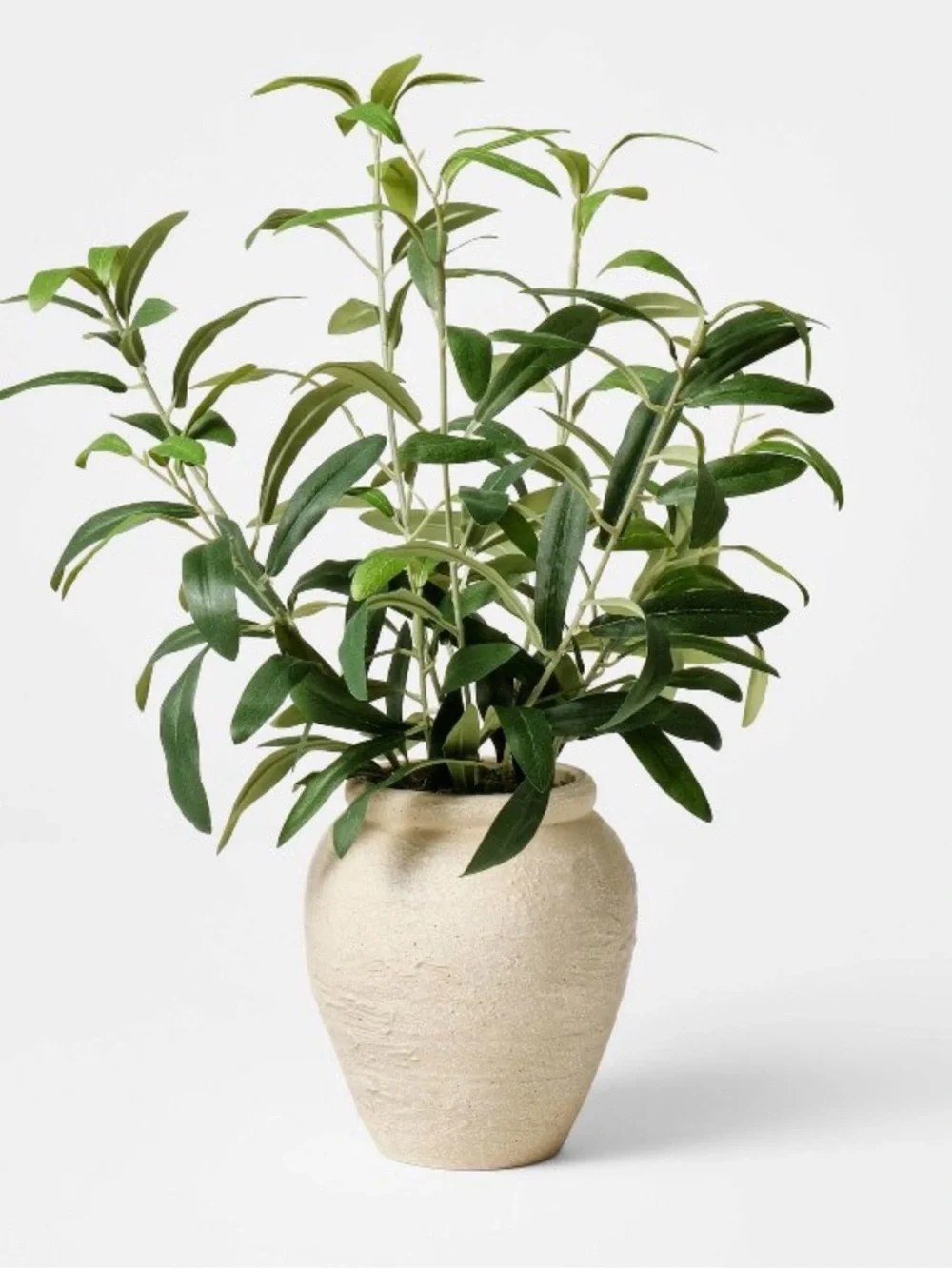 Olive Leaf Arrangement - Threshold™ designed with Studio McGee NWT